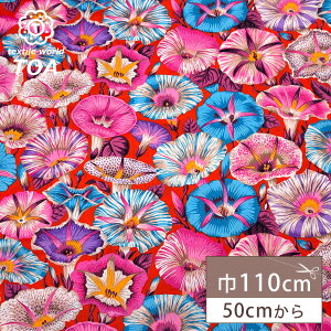 n y Variegated morning Glory oQCebh[jOO[[ 1833 z PCtt@ZbgRNeBu 110cm 100 ȃvg V[`O ATKI ԕ obO |[` В CeA 