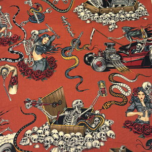 n y Alexander henry Fabrics denim&demons 2F z USARbg AJt@ubN 112cm 100 Rbg [ GW   KN obO |[` NbVJo[ Gv В Vc u