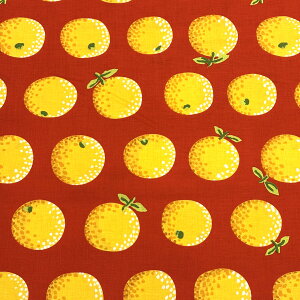 yyVC[OXӍP5{z n y Oranges IWY 3F z PCtt@ZbgRNeBu 110cm 100 ȃvg V[`O IW t[c obO |[` В CeA J