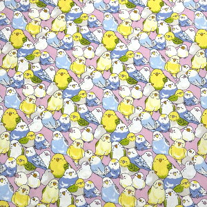 n y IbNXtH[h CR 3F z IbNXn CR  112cm 100 Rbg v obO |[` NbVJo[ Gv bXobN В `}bg Ce