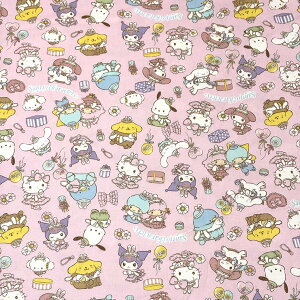 y}\P5{z n y TILN^[Y IbNXtH[hPT 2F z IbNXn  110cm 100 ȃvg TI LN^[n Ln  w Vw 