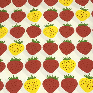 n y C`S IbNXtH[h 2F z IbNXn IbNXtH[h  vg 110cm 100 Rbg obO |[` В }`P[X qǂ Gv NbVJo[ 