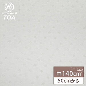 ny jbg It zjbgn XEFbgn hbg   炩 Ȑn 100 Rbg jbgn ԑf JWA nhCh | \[CO TVc p