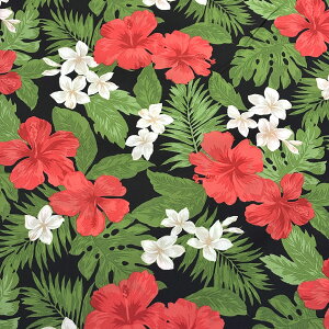 yyVC[OXӍP5{z n y nCA nCrXJX 6F z u[h 110cm nCAn ȍn nC ԕ nCrXJX vA Xe 썑  t_