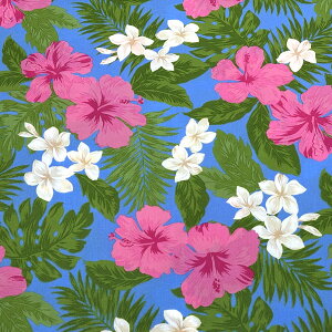 yyVC[OXӍP5{z n y nCA nCrXJX 6F z u[h 110cm nCAn ȍn nC ԕ nCrXJX vA Xe 썑  t_