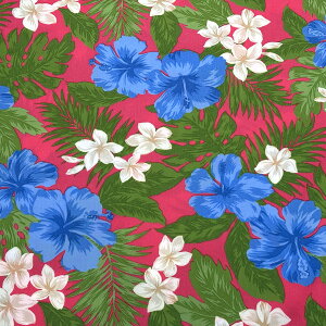 y_tf[P5{z n y nCA nCrXJX 6F z u[h 110cm nCAn ȍn nC ԕ nCrXJX vA Xe 썑  t_Xpi 