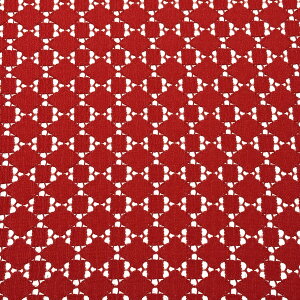 yyVC[OXӍP5{z n y bZ[X 3F z [X [Xn hJ [XhJ 110cm |GXe bZ 􉽊w͗l EGfBO CeA hX uEX X