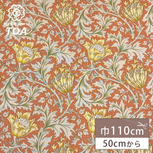 y}\ԌP5{z n y V&A Fabric Collection All AvRbg z V[`O 110cm Rbg 100  n anemone p CMX h BNgA&Ao[g E