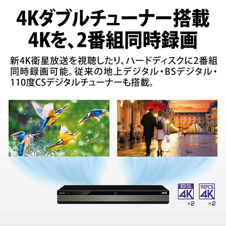 楽天市場】【スーパーSALE！P5倍】【300円クーポン有】SHARP シャープ  