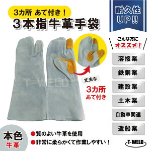 9/12()`30()͑Si|Cg10{Gg[sv!! n S|  Ɨp v 3{w v {F L:36cm 3Jĕt Tv1o BBQ AEghA ی O[u D C{