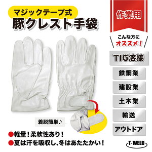 9/12()`30()͑Si|Cg10{Gg[sv!! TIG n S|  Ɨp }WbNe[v ؃NXg  5{w 10oZbg BBQ AEghA ی O[u D C{CX