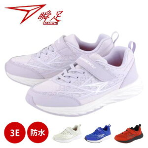 u JJ-892 Xj[J[ WjA LbY WjA YbN C h 3E ʊw wZ }WbNe[v xN ʃe[v ̈  OEh ALX