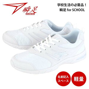 u JJ-095 WjA LbY Xj[J[ 㗚  RC YbN [XAbv ̈ Z y Hi-STANDARD w wZ ʊw jp ALX 