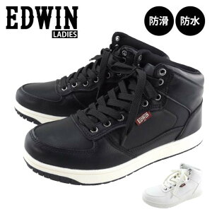 EDWIN EDW-7674 GhEB fB[X h Xj[J[ [XAbv RC nCJbg NbV y ₷ ʊw ʋ J  