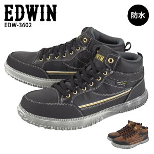 GhEB Xj[J[ Y EDWIN EDW-3602 h [XAbv RC ~hJbg NbV IV ₷ 30 40 50 J 