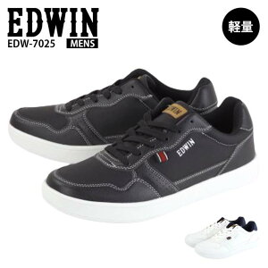 EDWIN EDW-7025 GhEB Xj[J[ Y [XAbv RC q NbV IV ₷ y 30 40 50 s i ʋ ʊw