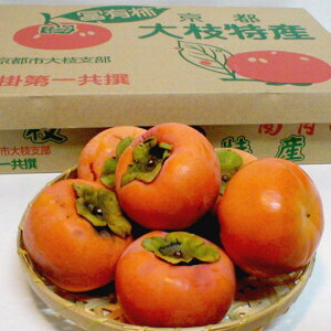 sY }` ̂ yL`  3LTCY 12|JL xL` Ê` `X }̊` }m` Ε@Ε Mtg v[g 