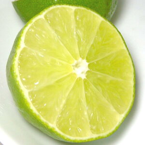 メキシコ産 ライム 10個(約100g/1個)|シトラス らいむ 酎ハイ 焼酎 テキーラカクテル