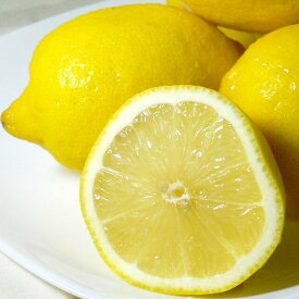 レモン 中玉 約2kg 中玉 16個入り 外国産 アメリカ・チリ産|柑橘 黄色いレモン　輸入　檸檬　酸果みかん　れもん【140】