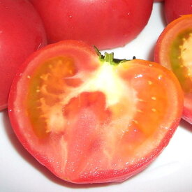 高糖度トマト アメーラトマト 1kg 静岡・長野産　|小粒トマト フルーツトマト ミニトマト プチトマト 夜トマトダイエット