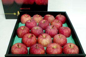 サンふじリンゴ 約5kg 中玉 18〜20個入り化粧箱 長野・青森産|2024 お歳暮 御歳暮 りんご アップル 富士 ふじ ギフト プレゼント