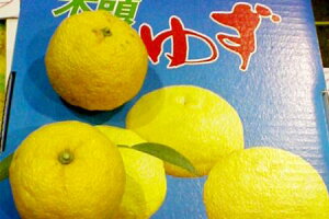 Y@Mqi䂸j11`13O|{Mq Y yuzu {Mq 䂸 C ~