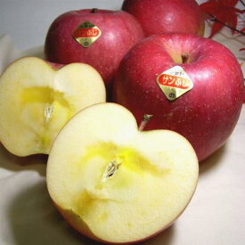 長野産 あづみの高原の サンふじりんご 約5kg 大玉 14〜16個入り※甘い林檎ですが蜜入り保証はいたしかねます ○店長おすすめ果物です|プレゼント ギフト 2024 お歳暮 御歳暮 fuji 富士 リンゴ 林檎 アップル 信濃 信州 サンフジ お祝い お見舞い お供え