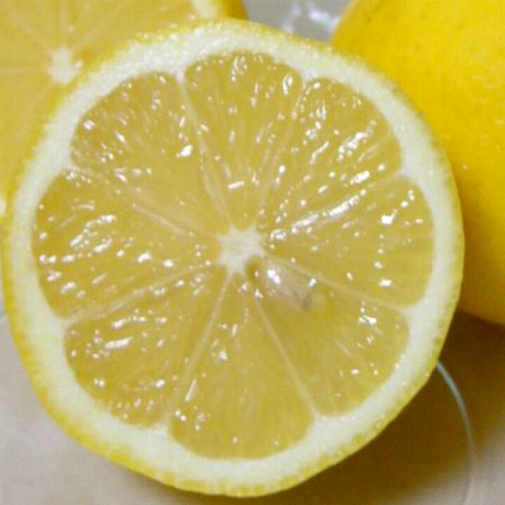 流行 A79 愛知県産 国産 レモン れもん 檸檬 9〜12個入り