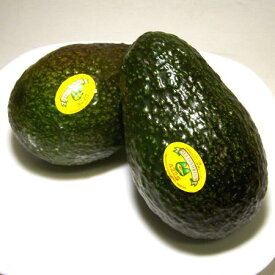 メキシコ産　アボカド　12個入り箱　母の日【ラッキーシール対応】