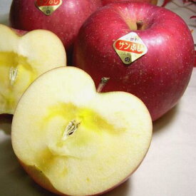 長野産 あづみの高原の サンふじリンゴ 約10kg 中玉 36〜40個入り ○店長おすすめ果物です ※恐れ入りますがりんごの蜜入り保証はいたしかねます|甘い お歳暮 御歳暮 歳暮 2024 ギフト プレゼント アップル 林檎 サンフジ