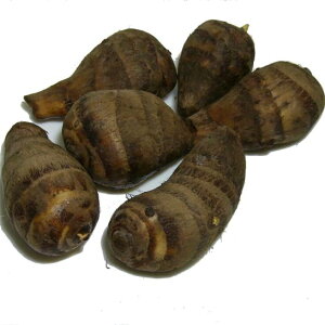 sY  CVuтv1.5kgi300g×5܁ju15`8ṽuhYiFi| GrC Gr ~̋₳ ݂₰@̓`؁@т 