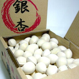 愛知産　銀杏（ぎんなん）3Lサイズ　約500g(95個前後入り)|秋の風物詩　土瓶蒸し　茶碗蒸し　イチョウ