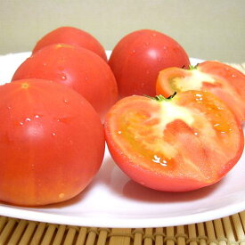 高糖度とまと アメーラトマト　1kg　静岡・長野産 |甘いトマト　小粒トマト　フルーツトマト　「ミニトマト　プチトマト　アメラ　とまと」