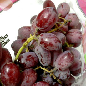 種無しぶどう　レッドシードレス　約1.6kg　外国産|たねなしぶどう 葡萄 グレープ 赤いブドウ