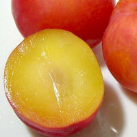 楽天市場 プラム すもも 大石早生 おおいしわせ Mサイズ 約2kg 500ｇ 4パック 36個前後入り 長野産スモモ 大石プラム おおいしぷらむ 李 京の老舗の果物屋 鳥羽伊三