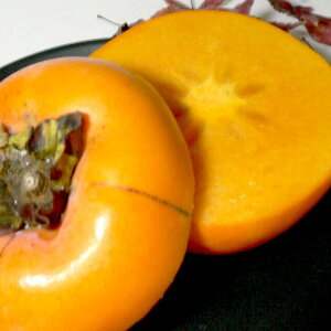 福岡産 博多 秋王柿 あきおうかき 3Lサイズ 10個|大玉 はかた 甘柿 あま柿 カキ 秋王かき