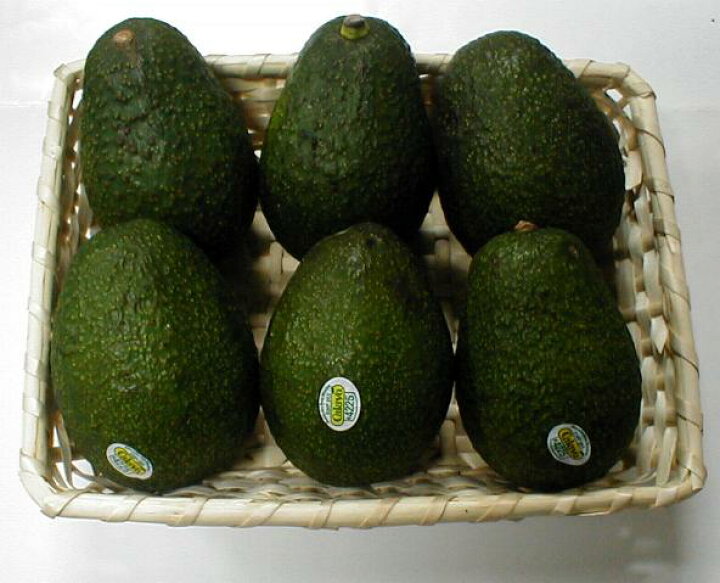 降臨 チャンピオン クラフト アボカド フルーツ 野菜 バーター ロープ 多様体