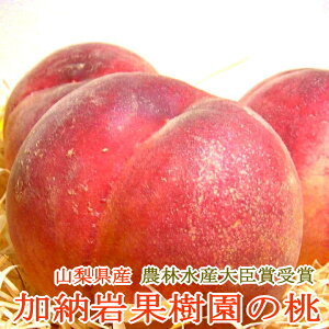  [ ʎ̓  5kg  13 RY ̂̂|   ʕ t[c 5L P   䒆 Â R  RY t[c 