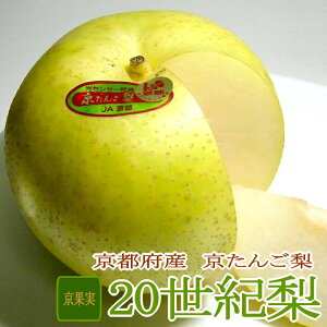 u񂲗v\I  5kg  14`16 2L`3L sY | 20I iV a 20IȂ ɂȂ 20I  Ȃ 蕨 s  傫 Mtg  O
