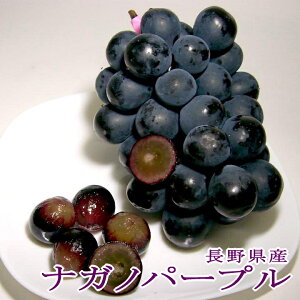 ˂Ȃ iKmp[v Ԃǂ 5kg 9`10[O Y|햳uhE炲ƐHׂ uhE  Mtg v[g 蕨 hV̓ ފ