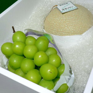 É  }XN 1.5kg   햳VC}XJbg Ԃǂ  700g Zbg ϔ| j  j  p  t[cZbg A[X  uhE 