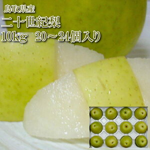 Y \I ɂȂ 10kg  20`24 |a ƂƂ 20IiV ZI 10L