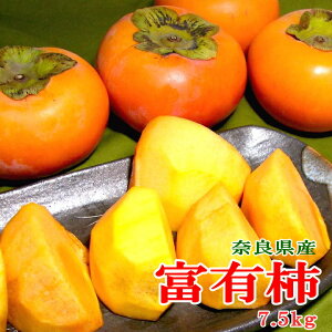 ޗǎY xL` ӂ䂤 7.5kg 2LTCY 24OyL|g  JL Ê`