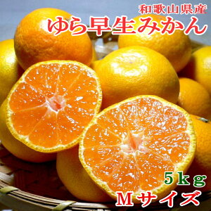 a̎RY B݂ 瑁  MTCY 5kg 50ObRǑ  ~J ɑ݂ EVE~J IB݂