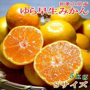 a̎RY B݂ 瑁  STCY 5kg 62ObRǑ  ~J 瑁݂