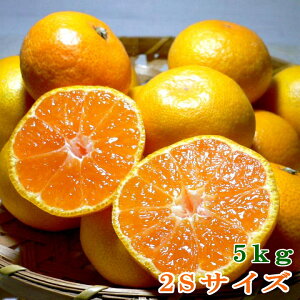 a̎RY B݂ 瑁  2STCY 71O 5kgbSS  ~J B݂ 瑁݂ RǑ݂ IB݂ 