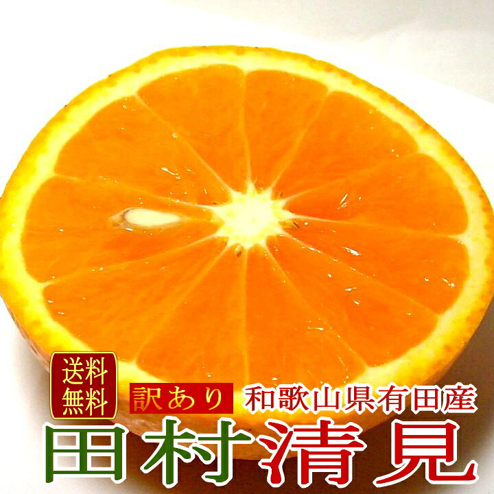 楽天市場 お試し 送料無料 有田 訳あり 田村清見オレンジ 和歌山産 小玉 S Mサイズ 約2kg 13個 16個前後入り 高級きよみ タンゴール 小玉 小粒 きよみオレンジ 清美オレンジ 2kg 2キロ 和歌山 フルーツ 訳あり S M 京の老舗の果物屋 鳥羽伊三