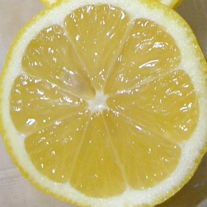 国内配送】 P11 愛知県産 国産 レモン れもん 檸檬 9〜12個入り