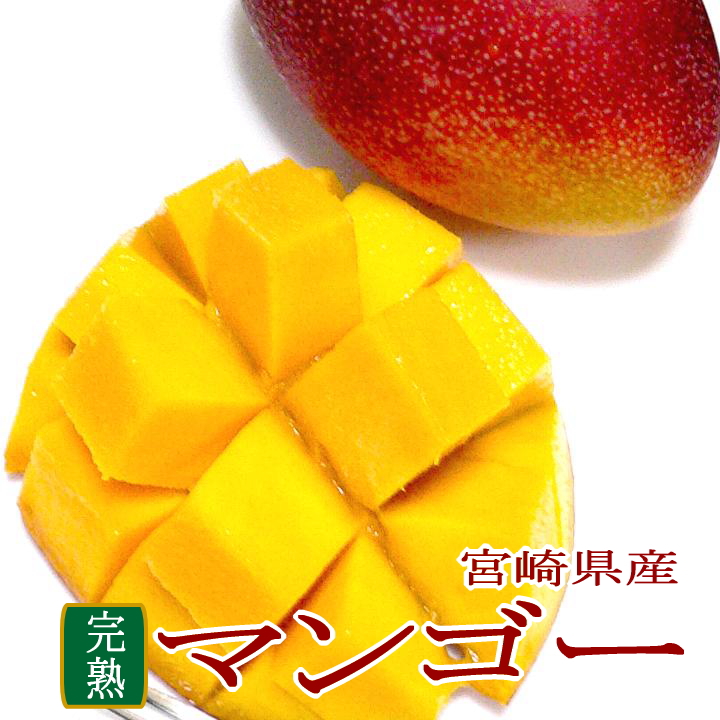 楽天市場】宮崎産 完熟マンゴー（かんじゅくまんごー）大玉 2Lサイズ 1