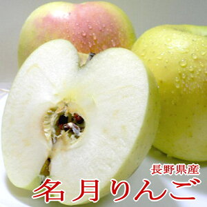 長野産 あづみの高原の 名月リンゴ めいげつりんご 約10kg 小玉 46〜50個入り ※甘い林檎ですが蜜入り保証はいたしかねます|安曇野リンゴ ぐんま名月りんごお歳暮 御歳暮 リンゴ 林檎 アップ